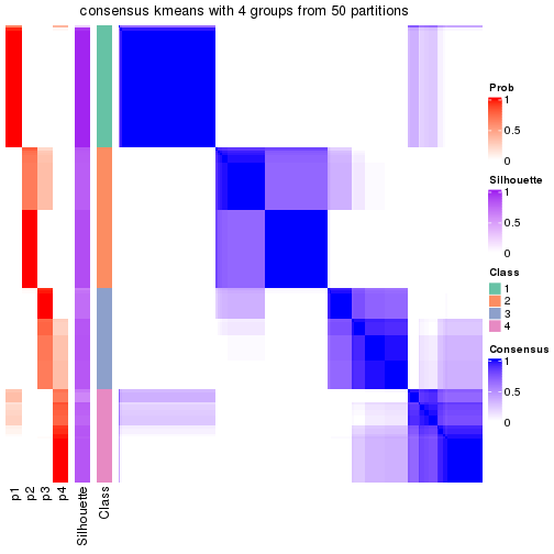 plot of chunk tab-node-01-consensus-heatmap-3