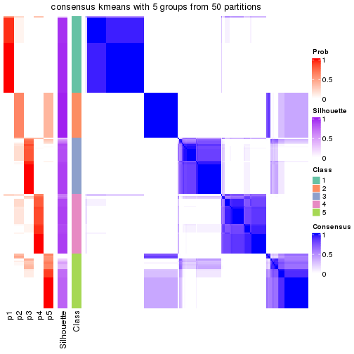 plot of chunk tab-node-01-consensus-heatmap-4