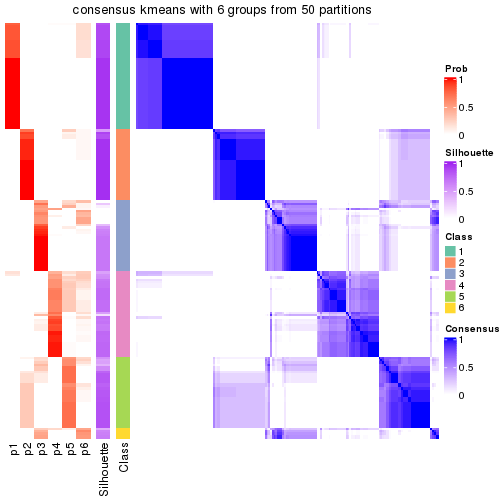 plot of chunk tab-node-01-consensus-heatmap-5