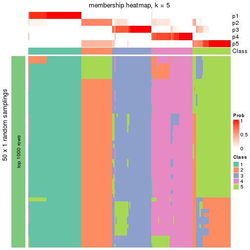 plot of chunk tab-node-01-membership-heatmap-4