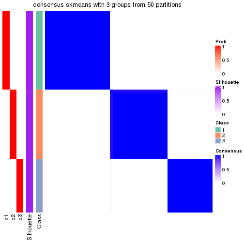 plot of chunk tab-node-011-consensus-heatmap-2