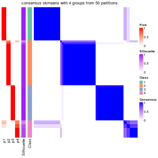 plot of chunk tab-node-011-consensus-heatmap-3