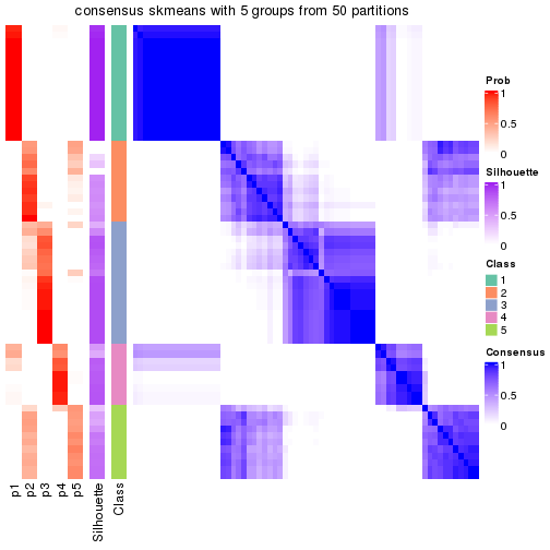 plot of chunk tab-node-011-consensus-heatmap-4