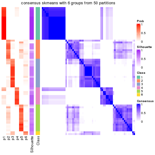 plot of chunk tab-node-011-consensus-heatmap-5