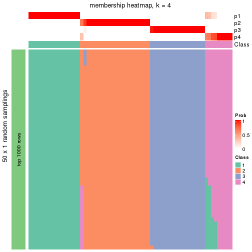 plot of chunk tab-node-011-membership-heatmap-3