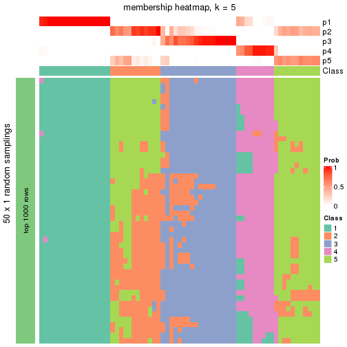 plot of chunk tab-node-011-membership-heatmap-4