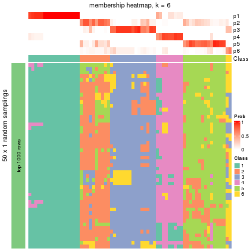 plot of chunk tab-node-011-membership-heatmap-5