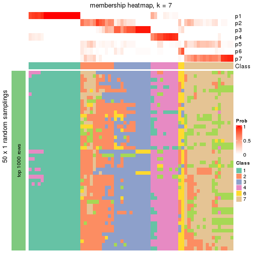 plot of chunk tab-node-011-membership-heatmap-6