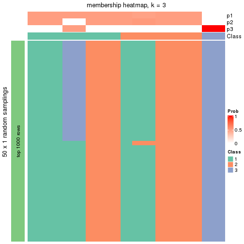 plot of chunk tab-node-0111-membership-heatmap-2