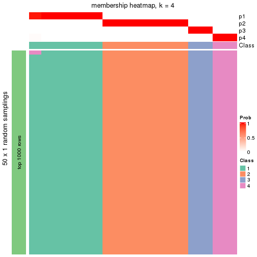 plot of chunk tab-node-0111-membership-heatmap-3