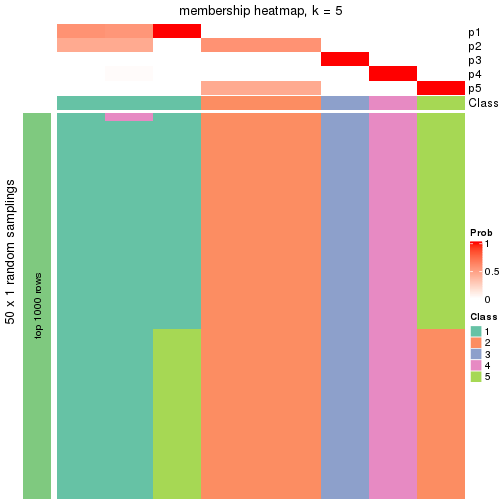 plot of chunk tab-node-0111-membership-heatmap-4