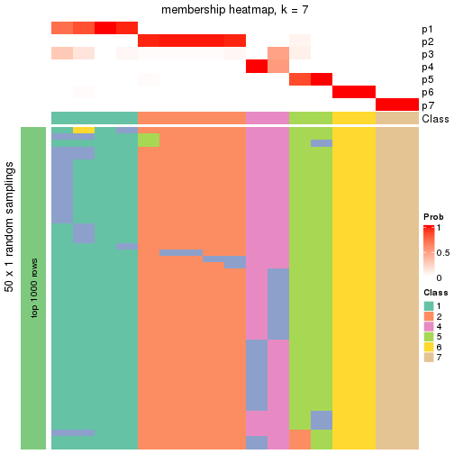 plot of chunk tab-node-0111-membership-heatmap-6