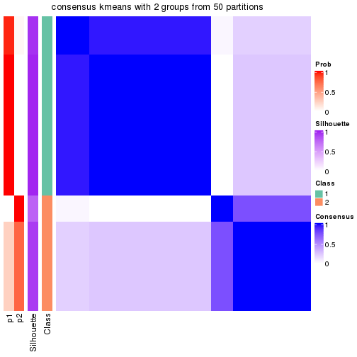 plot of chunk tab-node-0112-consensus-heatmap-1