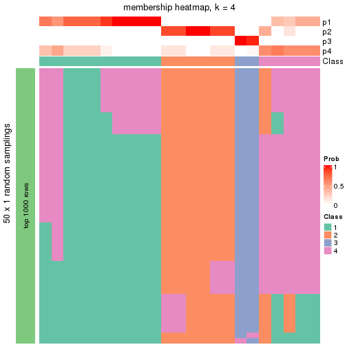 plot of chunk tab-node-0112-membership-heatmap-3