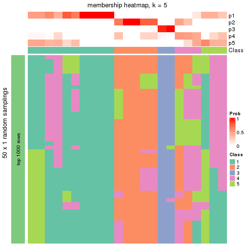 plot of chunk tab-node-0112-membership-heatmap-4