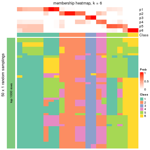 plot of chunk tab-node-0112-membership-heatmap-5