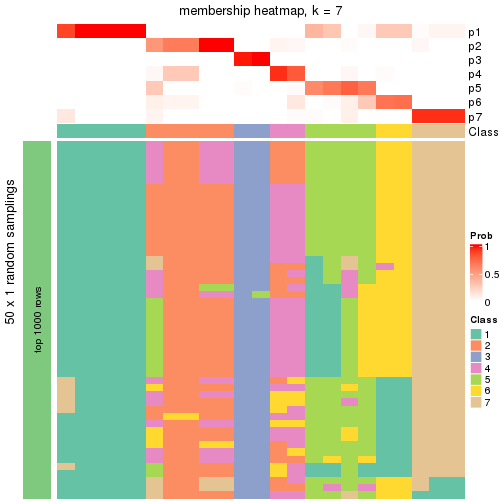 plot of chunk tab-node-0112-membership-heatmap-6