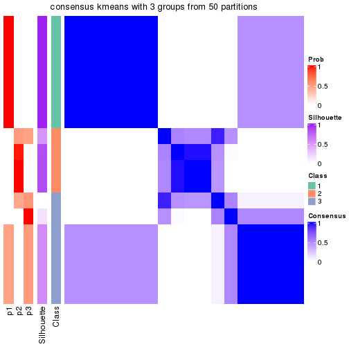 plot of chunk tab-node-0113-consensus-heatmap-2