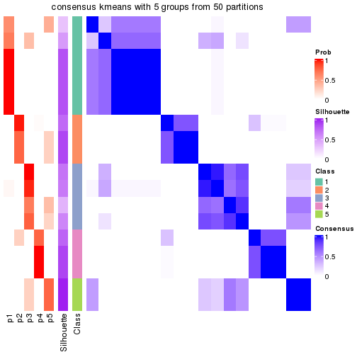 plot of chunk tab-node-0113-consensus-heatmap-4