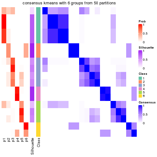 plot of chunk tab-node-0113-consensus-heatmap-5