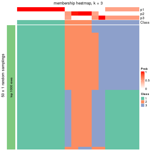 plot of chunk tab-node-0113-membership-heatmap-2