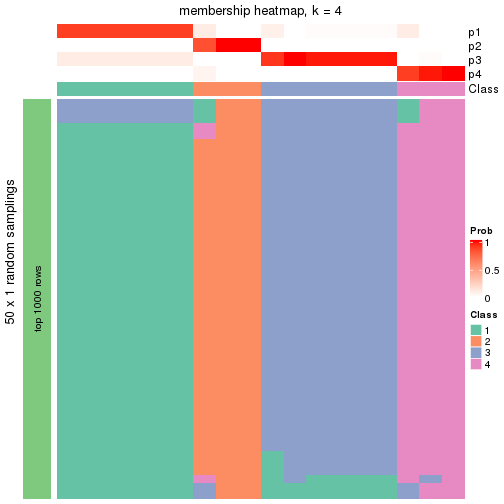 plot of chunk tab-node-0113-membership-heatmap-3