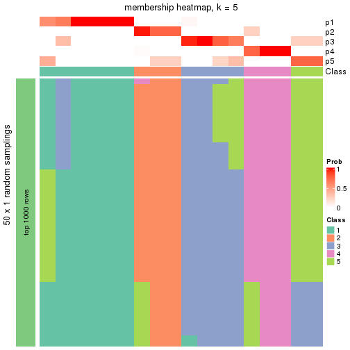 plot of chunk tab-node-0113-membership-heatmap-4