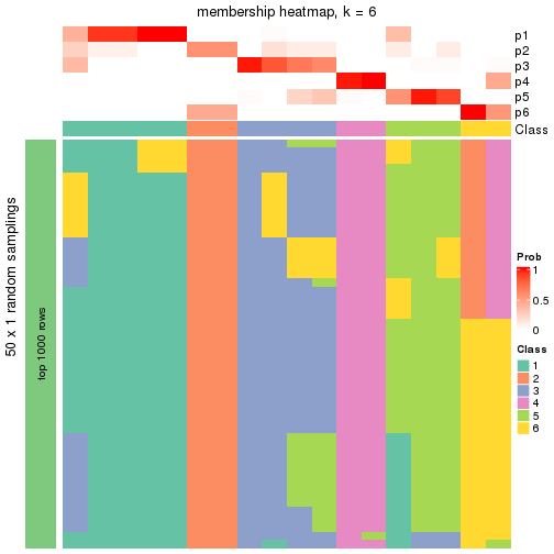 plot of chunk tab-node-0113-membership-heatmap-5