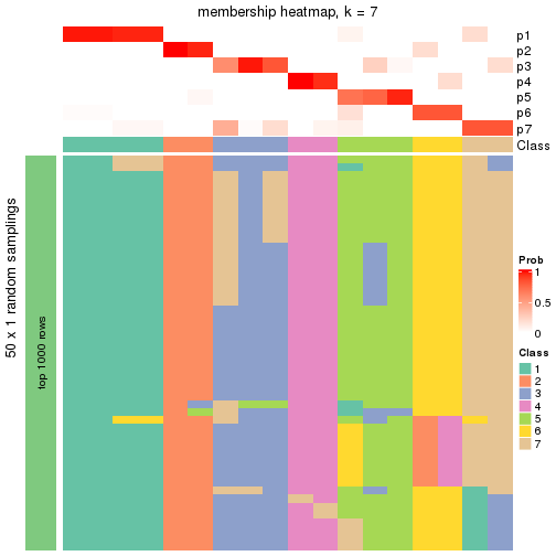 plot of chunk tab-node-0113-membership-heatmap-6