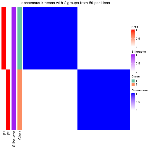 plot of chunk tab-node-012-consensus-heatmap-1