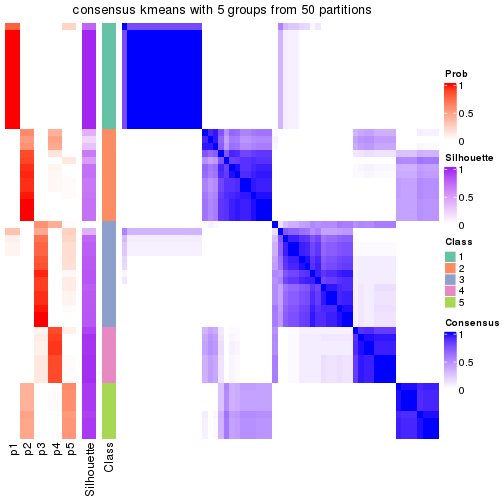 plot of chunk tab-node-012-consensus-heatmap-4