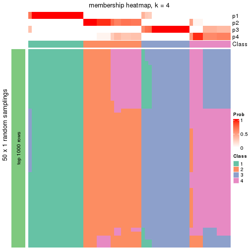 plot of chunk tab-node-012-membership-heatmap-3