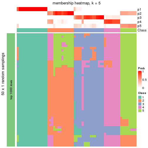 plot of chunk tab-node-012-membership-heatmap-4