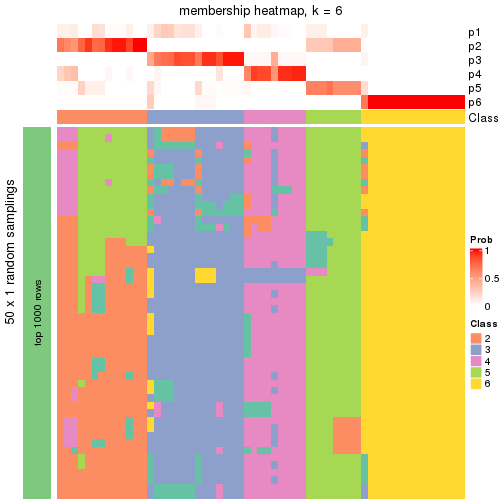 plot of chunk tab-node-012-membership-heatmap-5