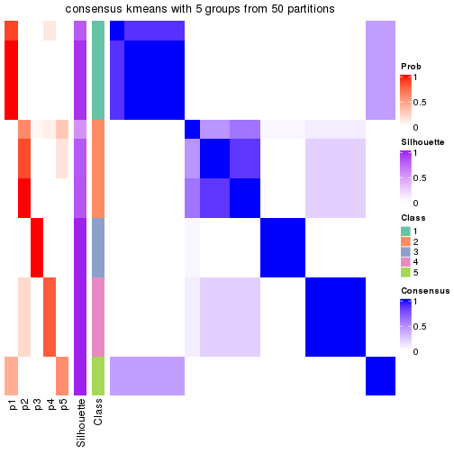 plot of chunk tab-node-0121-consensus-heatmap-4