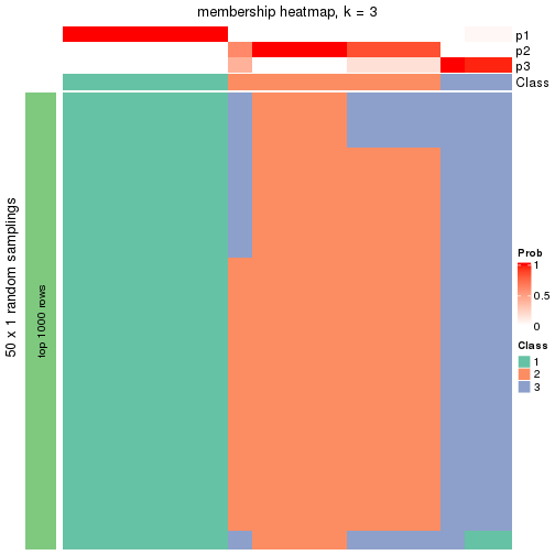 plot of chunk tab-node-0121-membership-heatmap-2