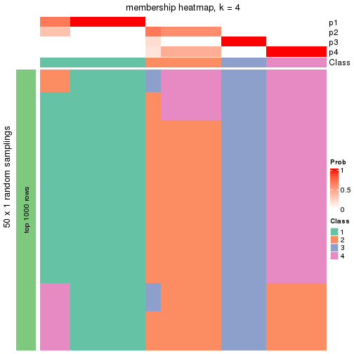 plot of chunk tab-node-0121-membership-heatmap-3