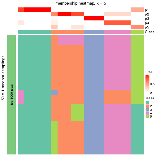 plot of chunk tab-node-0121-membership-heatmap-4