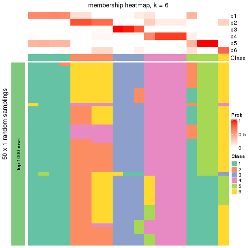 plot of chunk tab-node-0121-membership-heatmap-5