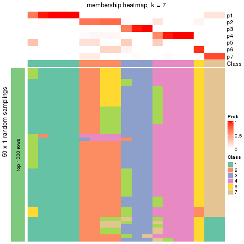 plot of chunk tab-node-0121-membership-heatmap-6