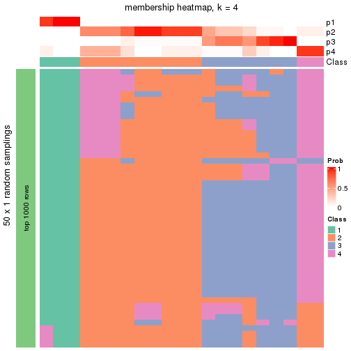 plot of chunk tab-node-0122-membership-heatmap-3