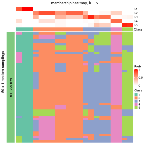 plot of chunk tab-node-0122-membership-heatmap-4