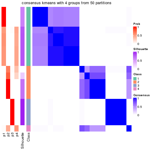 plot of chunk tab-node-0123-consensus-heatmap-3