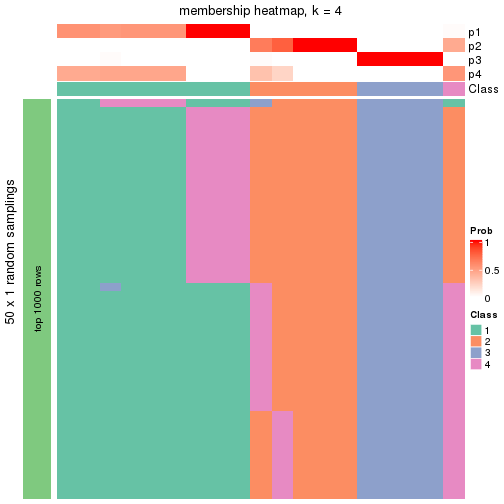 plot of chunk tab-node-0123-membership-heatmap-3