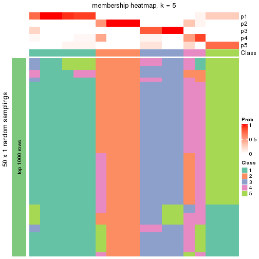 plot of chunk tab-node-0123-membership-heatmap-4