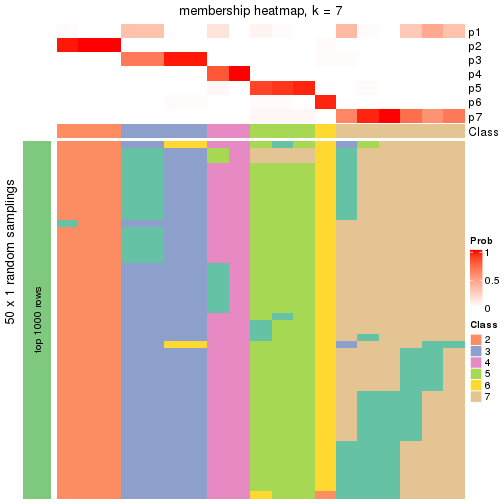 plot of chunk tab-node-0123-membership-heatmap-6