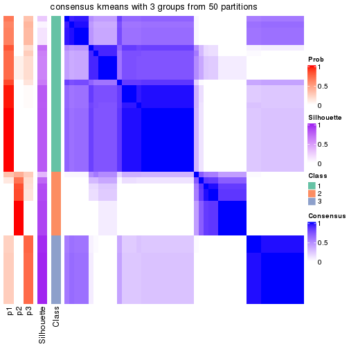 plot of chunk tab-node-013-consensus-heatmap-2