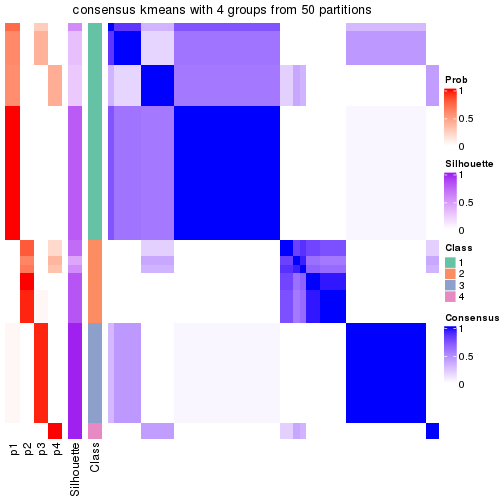 plot of chunk tab-node-013-consensus-heatmap-3