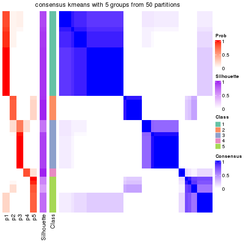 plot of chunk tab-node-013-consensus-heatmap-4