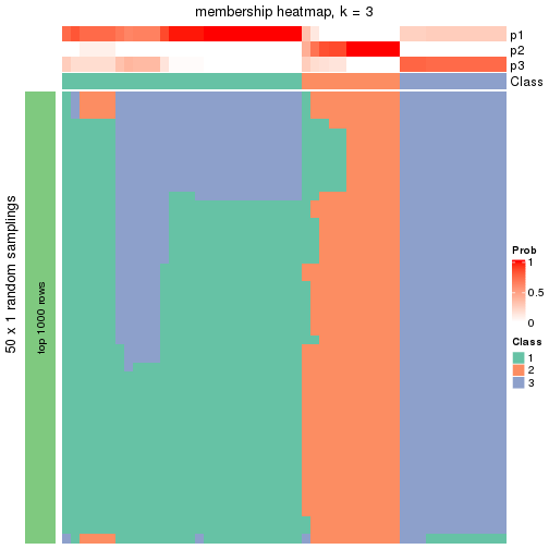 plot of chunk tab-node-013-membership-heatmap-2